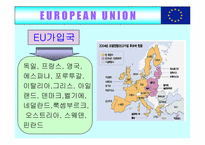 [국제무역] 유럽통합(EU)의 사례-3