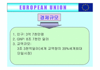 [국제무역] 유럽통합(EU)의 사례-4