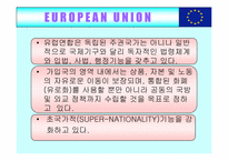 [국제무역] 유럽통합(EU)의 사례-5