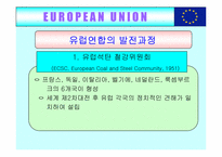 [국제무역] 유럽통합(EU)의 사례-8