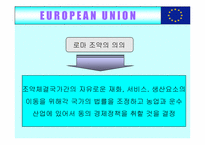 [국제무역] 유럽통합(EU)의 사례-10