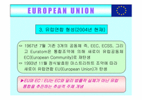 [국제무역] 유럽통합(EU)의 사례-11