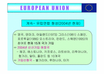 [국제무역] 유럽통합(EU)의 사례-12