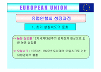 [국제무역] 유럽통합(EU)의 사례-13