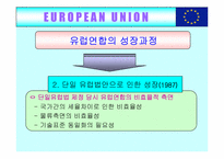 [국제무역] 유럽통합(EU)의 사례-15