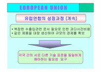 [국제무역] 유럽통합(EU)의 사례-16