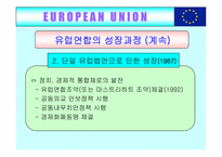[국제무역] 유럽통합(EU)의 사례-18