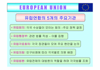 [국제무역] 유럽통합(EU)의 사례-20