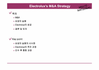 [다국적기업론] Electrolux의 M&A 전략-2