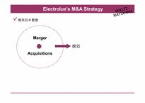 [다국적기업론] Electrolux의 M&A 전략-3