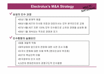[다국적기업론] Electrolux의 M&A 전략-6
