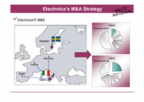 [다국적기업론] Electrolux의 M&A 전략-10