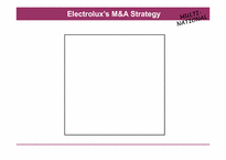 [다국적기업론] Electrolux의 M&A 전략-16