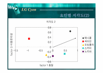 [마케팅] 엘지싸이언(LG Cyon)을 위한 마케팅전략-16