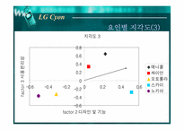 [마케팅] 엘지싸이언(LG Cyon)을 위한 마케팅전략-17