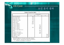 [마케팅] 엘지싸이언(LG Cyon)을 위한 마케팅전략-18