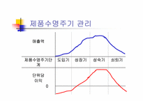 신제품개발 레포트-10