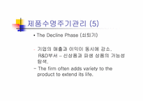신제품개발 레포트-15