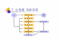 신제품개발 레포트-16