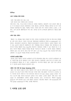 [소비자행동] 한국적 정서를 활용한 햇반의 마케팅성공-13