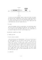 [호텔마케팅] 비즈니스맨을 위한 `이비스호텔`의 경영환경과 마케팅전략 분석-10