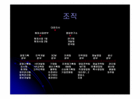 [경영] 웅진식품 음료에 대해서-8