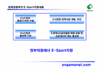 [마케팅] 게임방송국 `온게임넷` 수익향상을 위한 마케팅전략-6