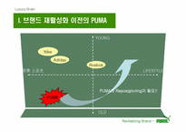 [브랜드마케팅] `puma` 푸마 소비자행동 및 브랜드마케팅-6