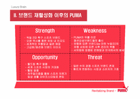 [브랜드마케팅] `puma` 푸마 소비자행동 및 브랜드마케팅-9