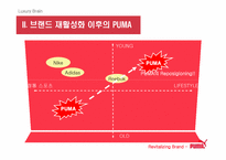 [브랜드마케팅] `puma` 푸마 소비자행동 및 브랜드마케팅-12
