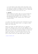 [브랜드전략] 소니 브랜드확장분석-10
