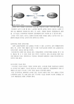 [전략경영비교분석] 코닥과 후지필름 비교분석-10
