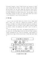 [경영정보] 일본무선인터넷서비스 `NTT DoCoMo`의 현재와 미래-8