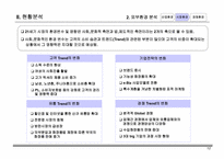 ㈜봉우리 화장품 정보화전략 수립 계획서-13