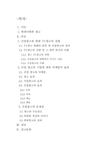 [PPL] TV광고를 통해 본 간접광고의 효과와 문제점-2