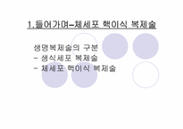 [생명윤리] 생명복제기술에 대한 윤리적고찰-2