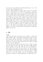 [경영정보] OB맥주의 ERP시스템 SAP에 관한 조사-4