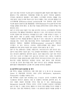 [경영정보] OB맥주의 ERP시스템 SAP에 관한 조사-6