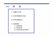 [사회조직론] 암웨이 성공 신화의 조직론적 분석-2