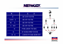 [사회조직론] 암웨이 성공 신화의 조직론적 분석-11