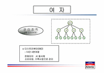 [사회조직론] 암웨이 성공 신화의 조직론적 분석-13
