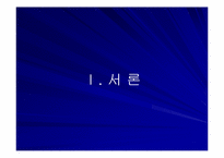 [운송론] 국내외 해운운송기업의 비교연구-3
