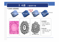 [영양정보관리] 월경 전 증후군이 식이 습관에 미치는 영향-5