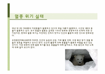 멸종 위기 동물의 실태와 의미-3