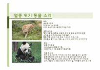 멸종 위기 동물의 실태와 의미-6
