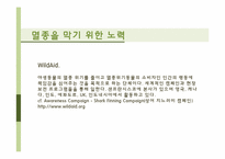 멸종 위기 동물의 실태와 의미-9
