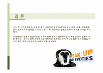 멸종 위기 동물의 실태와 의미-14
