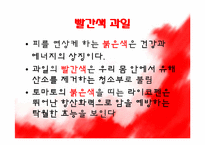 [영양학] 컬러푸드(Color Food)-6