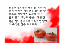 [영양학] 컬러푸드(Color Food)-10