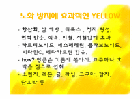 [영양학] 컬러푸드(Color Food)-15